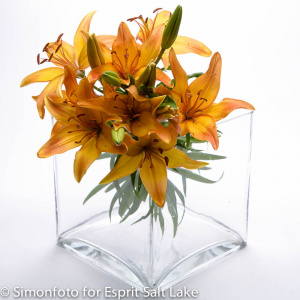 Lilies Orange - lilies