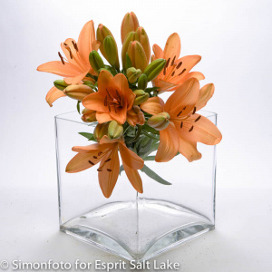 Lilies Orange - lilies