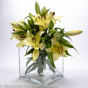 Oriental Yelloween - lilies