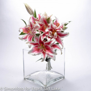 Oriental Stargazer - lilies