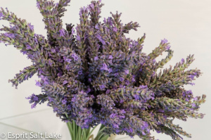 Lavender - novelty