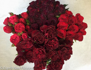 Red Rose options part 1