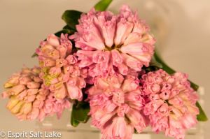 Hyacinth peach - flowers