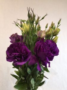 Lisianthus purple - flowers