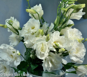 Lisianthus white - flowers