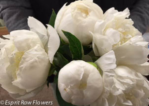 Peonies white